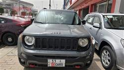 جيب رينيجيد